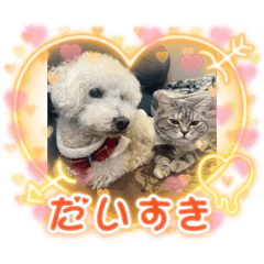 misa_20250108162311