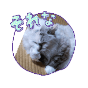 Namenekonyan