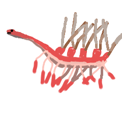 Hallucigenia(手繪)