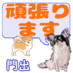 Kadode's letters Chihuahua