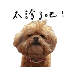 奶茶嘟