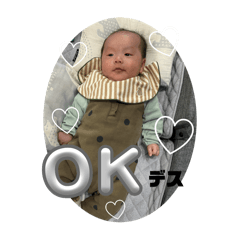 HIKARI_20250108154537