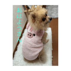 riipopo_20250108221516