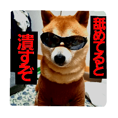 hapihapi 2