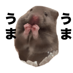 310_20250109021323