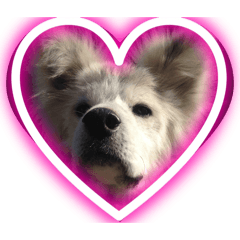 JIMMY_20250109001410