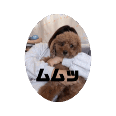 momo_20250109133402