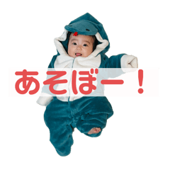wai_20250108233843