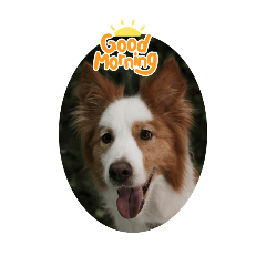 TruEno_20250109023611