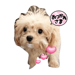 shogo_20250109141826