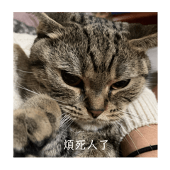 爛透