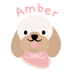 Amber Cockapoo