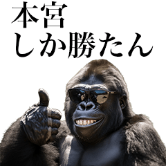 [Motomiya] Funny Gorilla stamp to send