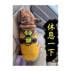 酷妞&酷寶（法鬥貼圖）