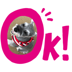 mumu66_20250109171015