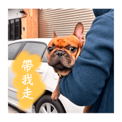 酷妞&酷寶 第二彈（法鬥貼圖）
