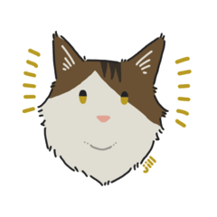 Aya_20250109162442
