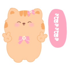 ชิฟฟอน แมวแสนน่ารัก