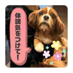 nico_20250109172047