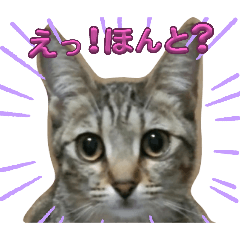 katuya_20250109173232