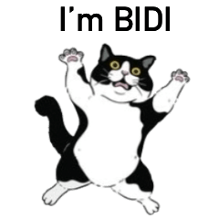 Im BIDI cat