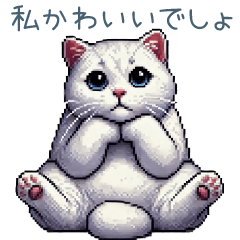 メンヘラ白ねこちゃん【かわいい・面白い】