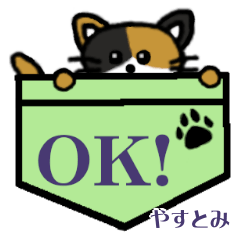 Yasutomi's Pocket Cat's  [3]