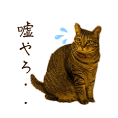 chacha_20250109180119