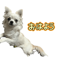 Mo_20250109193735