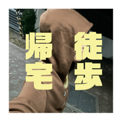 shark_20250109183245