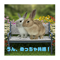 pipi_20250110133226
