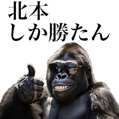 [Kitamoto] Funny Gorilla stamp to send