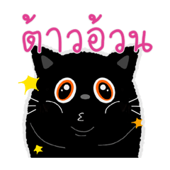 Slang words with Black cat TH-ENG