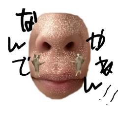 NARU3_20250110150902