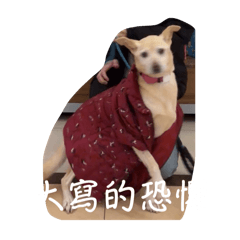 摳與三寶