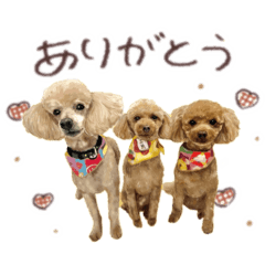 coco_20250110160849