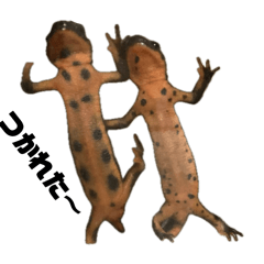 yoshi_20250110165617
