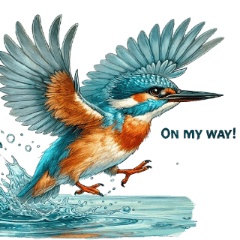 Realistic Cute Kingfishers:LINE Stickers