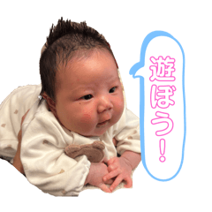 HiKARI_20250110170908