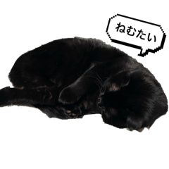 COCOstanp!
