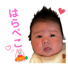 HiKARI_20250110172325