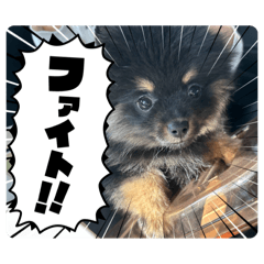 WAKANA_20250110180843