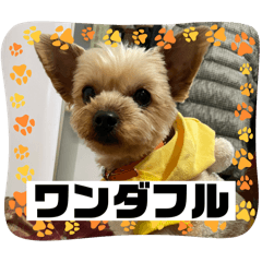 Coco_2025011022104