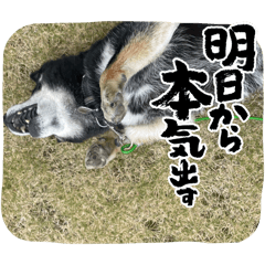 Yuto_20250110220558