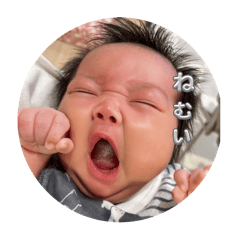 ponsuke_20250110222159