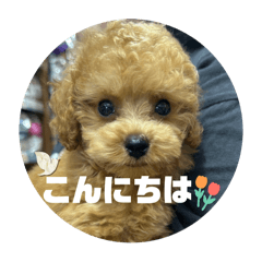 chinatsu_20250111003756