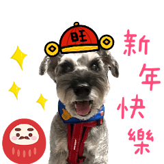 裴瑞希三個寶