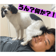 Choco_20250110181102