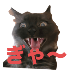 Mie_20250110201143