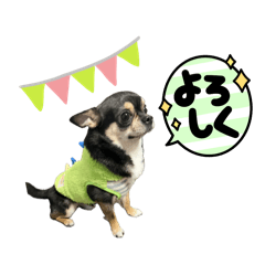 Mai_20250110210213
